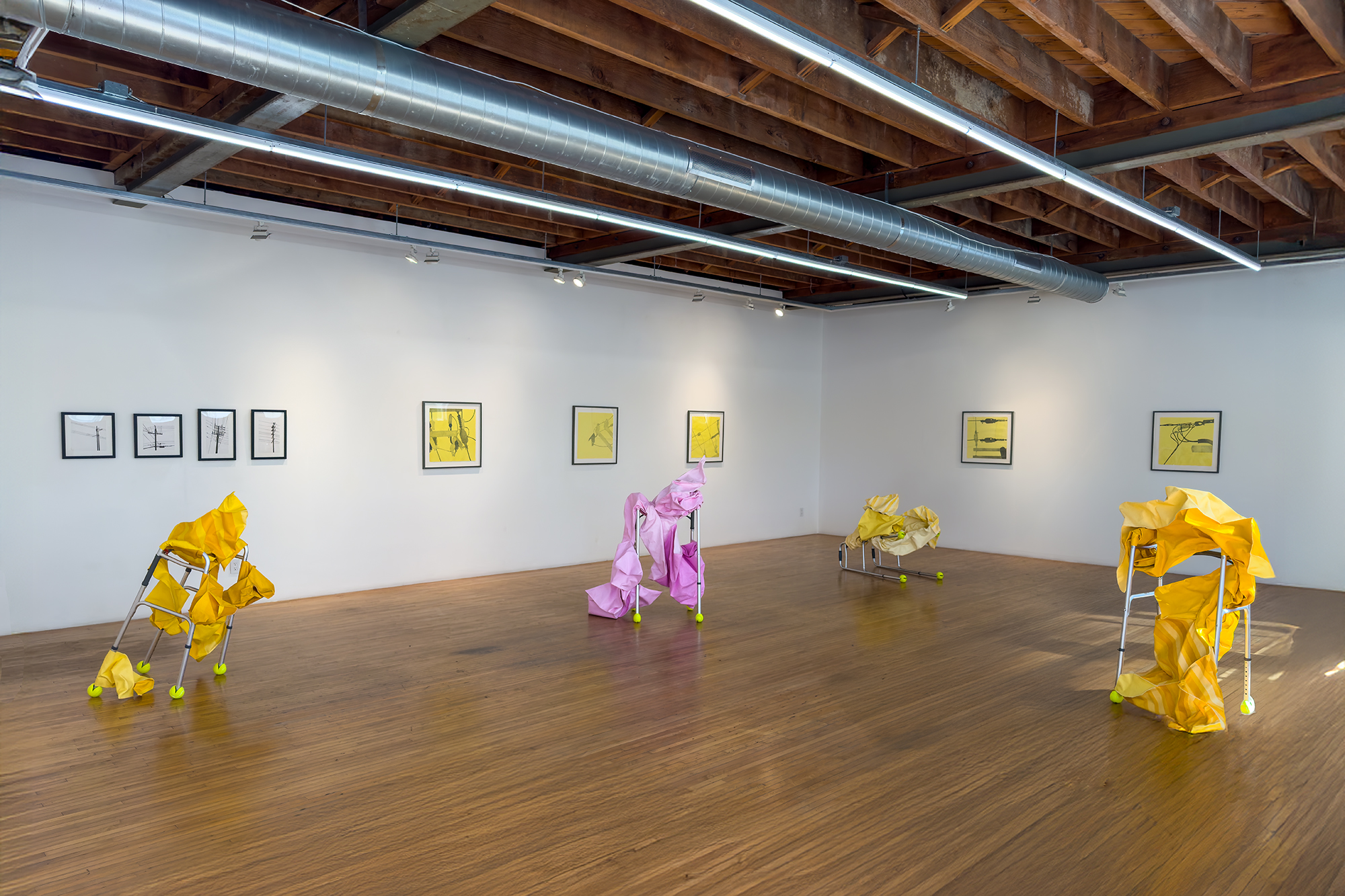 CHINA ADAMS Poles, Walkers and a Black Sheep, CMAY Gallery
