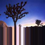 Joshua Nocturna Grande, 2022 Video, 4:21  Ed 10 2 AP  $3,200 (with monitor)