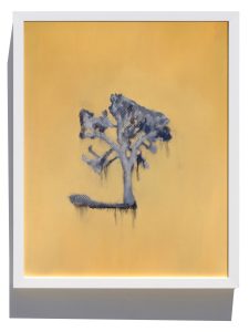 Donnie Molls Dripping Tree 2, 2026 Mixed Media oil on paper 16 x 19 in / 40.64 x 48.26 cm Framed: 20.75 x 16.625 / 52.7 x 42.2 cm