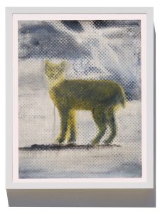 Donnie Molls El Bobcat 1, 2026 Mixed Media oil on paper 16 x 19 in / 40.64 x 48.26 cm Framed: 20.75 x 16.625 / 52.7 x 42.2 cm