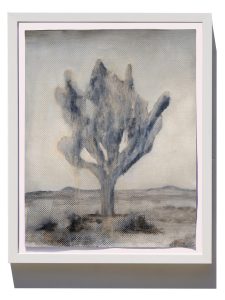 Donnie Molls Joshua Tree 5, 2026 Mixed Media oil on paper 16 x 19 in / 40.64 x 48.26 cm Framed: 20.75 x 16.625 / 52.7 x 42.2 cm