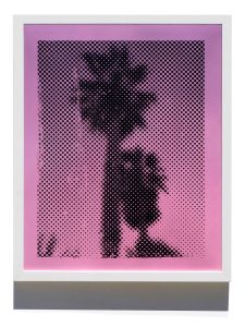 Donnie Molls Two Palms, 2026 Mixed Media oil on paper 16 x 19 in / 40.64 x 48.26 cm Framed: 20.75 x 16.625 / 52.7 x 42.2 cm $ 1,500 Donnie Molls Three Joshua Trees, 2026 Mixed Media oil on paper 16 x 19 in / 40.64 x 48.26 cm Framed: 20.75 x 16.625 / 52.7 x 42.2 cm $ 1,500 Donnie Molls