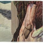 Brian Paeper | Insufficient Childhood, 2025 | Collage | 4.62 x 3.5 in; 14.76 x 13.19 in (framed)