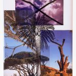 Luigia Gio Martelloni | Mirror Mirror #3, 2026 | Ink print and translucent photos | 20 x 16 in