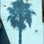Robert Landau | Palm Shadow, 2007 | Archival pigment print, Ed. of 25 | 16 x 20 in