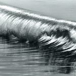Anthony Friedkin | Silver Curl, 2005 | Silver gelatin print | 16 x 20 in